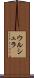 ウルシュラ Scroll
