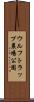 ウルフトラップ農場公園 Scroll