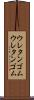 ウレタンゴム Scroll