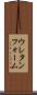ウレタンフォーム Scroll