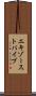 エキゾーストパイプ Scroll