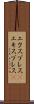 エクスプレス(P) Scroll
