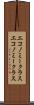 エコノミークラス Scroll