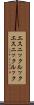 エスニックルック Scroll