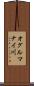 オグルマナイ川 Scroll