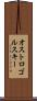 オストロゴルスキー Scroll