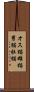 オス猫 Scroll