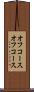 オフコース Scroll