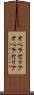 オペラセリア Scroll