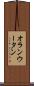 オランウータン Scroll