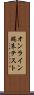 オンライン端末テスト Scroll