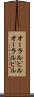 オーラルピル Scroll