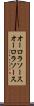 オーロラソース Scroll