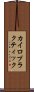 カイロプラクティック Scroll