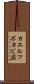 カエルツボカビ症 Scroll