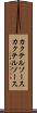 カクテルソース Scroll
