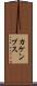 カケンプス Scroll