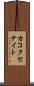 カコクセナイト Scroll