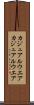 カジュアルウエア Scroll