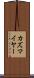 カズマイヤー Scroll