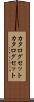 カタログセット Scroll