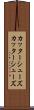 カッターシューズ Scroll