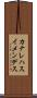 カナレハスイメンデス Scroll