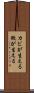 カビが生える Scroll
