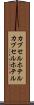 カプセルホテル Scroll