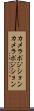 カメラポジション Scroll