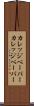 カレッジペーパー Scroll