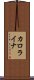 カロライナ Scroll