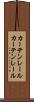 カーテンレール Scroll