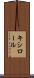 キシロール Scroll