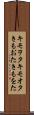 キモヲタ Scroll