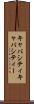 キャパシティ Scroll