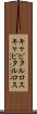 キャピタルロス Scroll