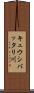 キュウシバッタリ川 Scroll