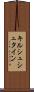キルシュシュタイン Scroll