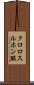 クロロスルホン酸 Scroll