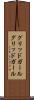 グリッドガール Scroll
