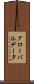 グローバル・データ Scroll