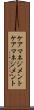 ケアマネジメント Scroll