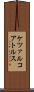 ケツァルコアトルス Scroll