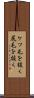 ケツ毛を抜く Scroll