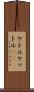 ケトル Scroll