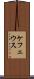 ケフェウス Scroll