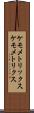 ケモメトリックス Scroll