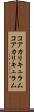 コアカリキュラム Scroll