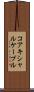 コアキシャルケーブル Scroll